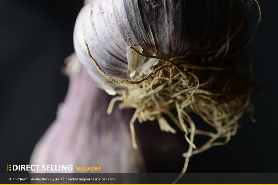 Knoblauch (Allium sativum) bekämpft wirkungsvoll Viren, Bakterien und auch Pilze